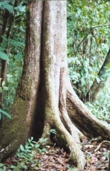 125.jpg