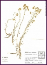 156.jpg
