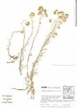 160.jpg