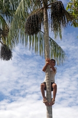 acai5.jpg