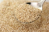 quinoa_5.jpg