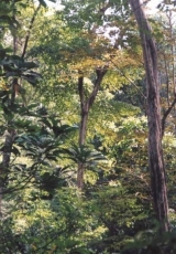 66.jpg